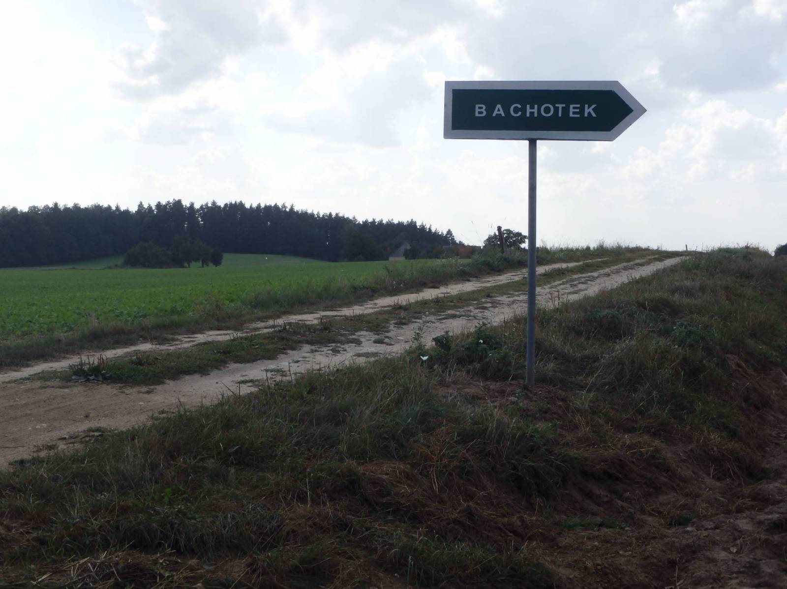 Zdjęcie 2