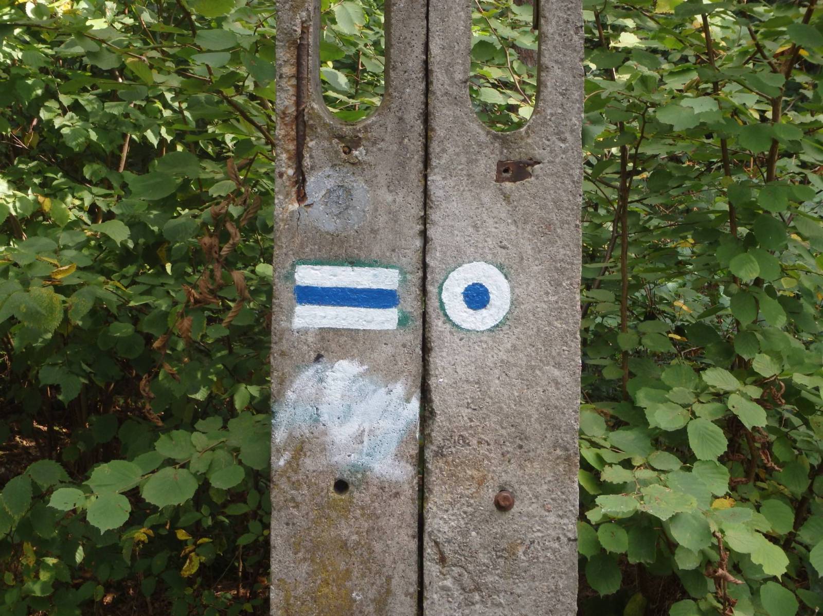 Zdjęcie 3