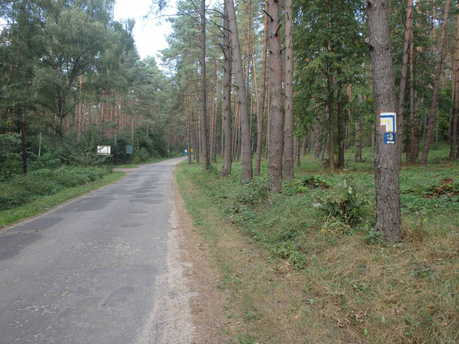 Zdjęcie 4
