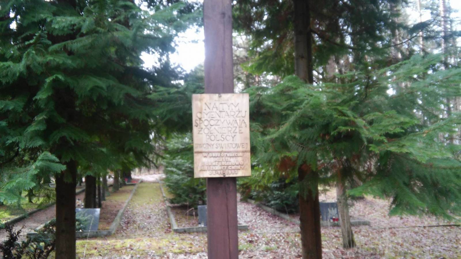 Zdjęcie 2