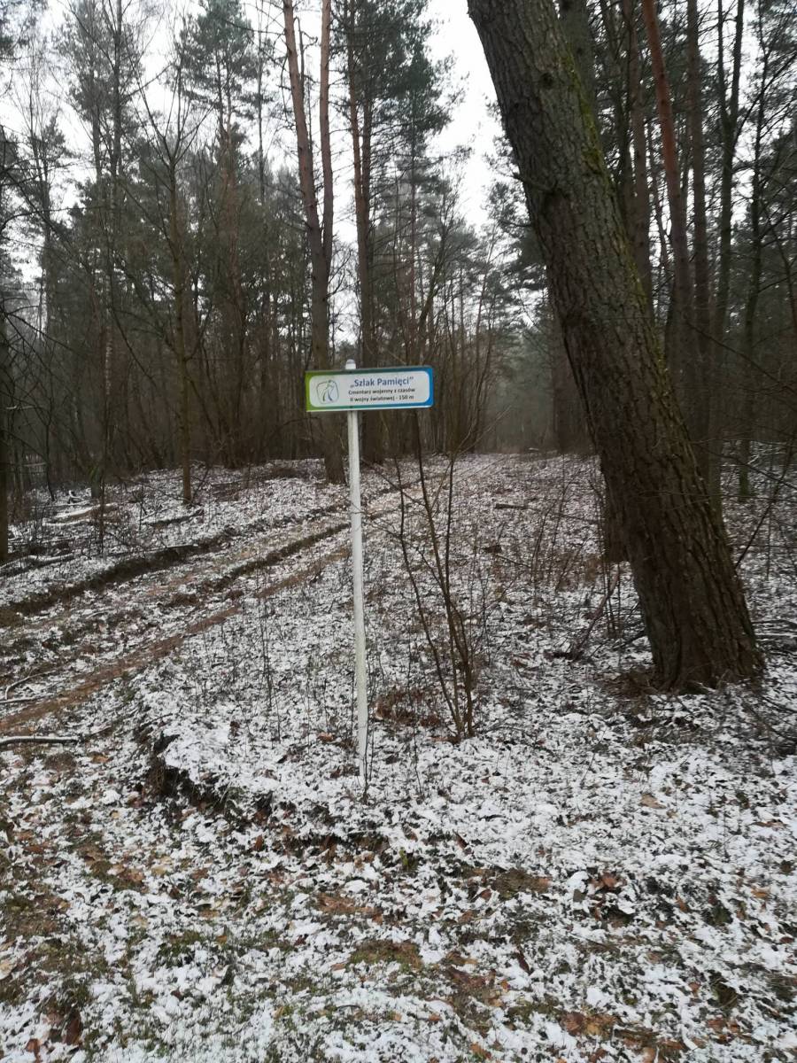 Zdjęcie 5