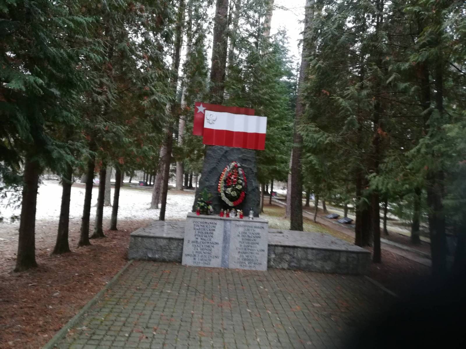 Zdjęcie 6