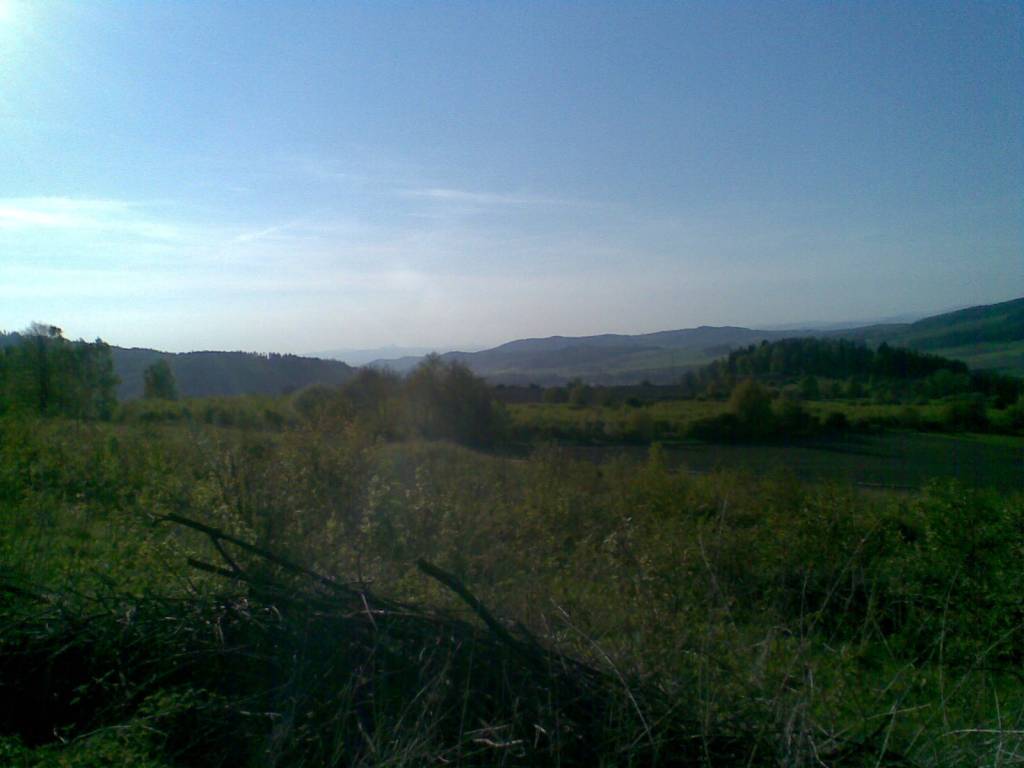 Zdjęcie 5