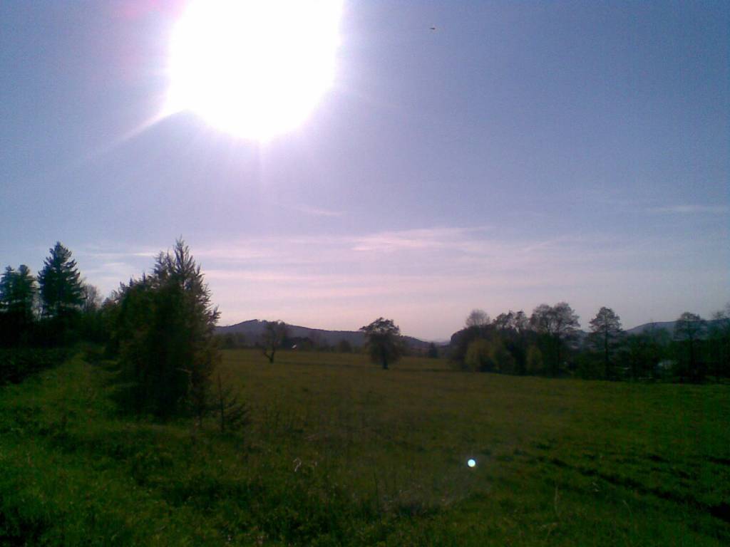 Zdjęcie 6