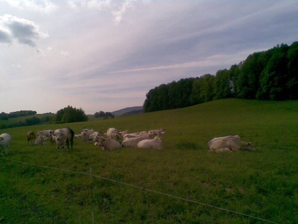 Zdjęcie 6