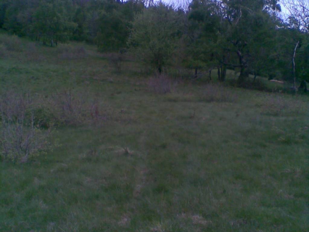 Zdjęcie 4