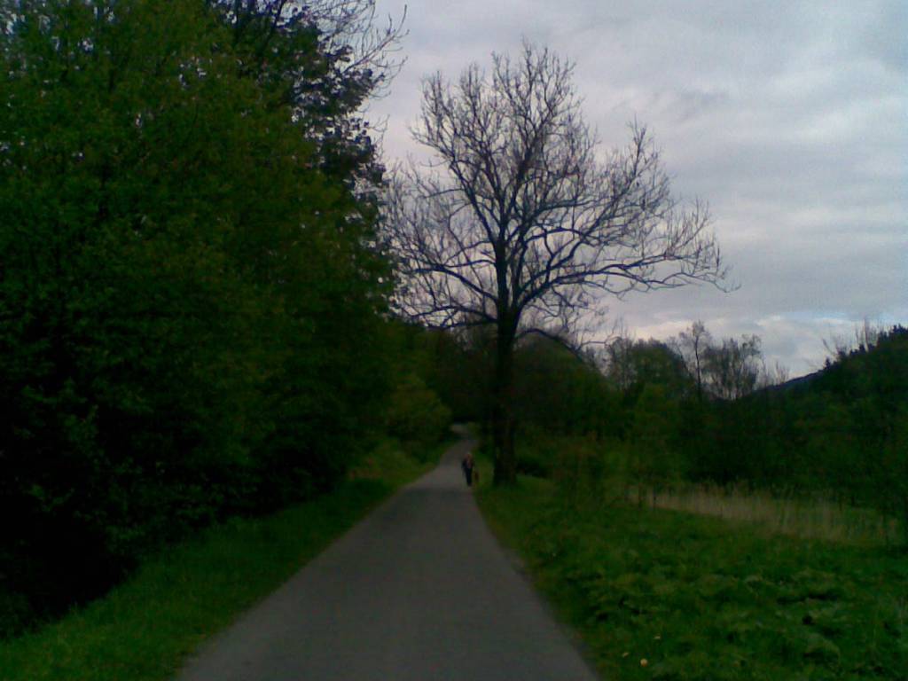 Zdjęcie 5