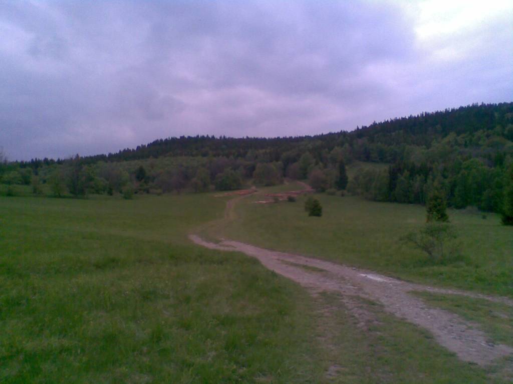 Zdjęcie 6
