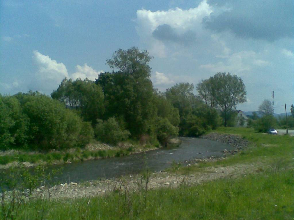 Zdjęcie 2