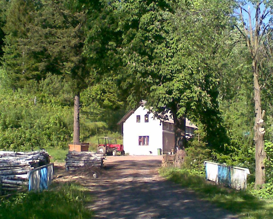 Zdjęcie 4