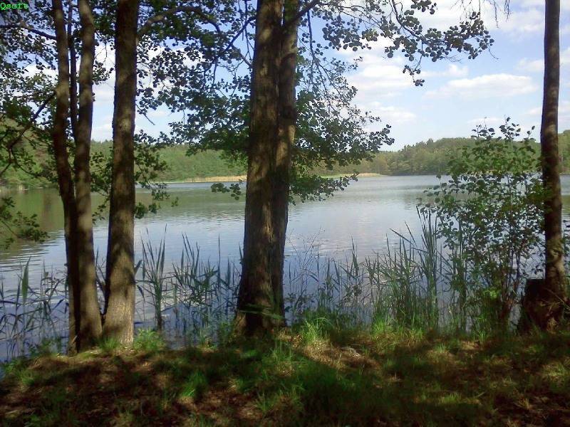Zdjęcie 6