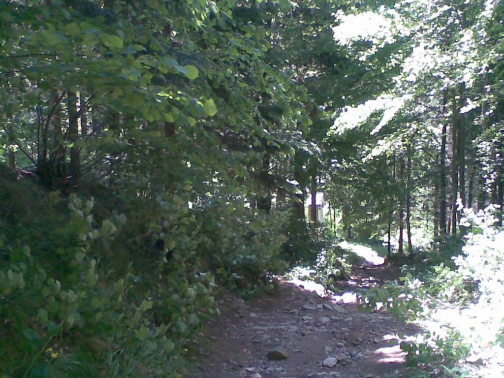 Zdjęcie 5