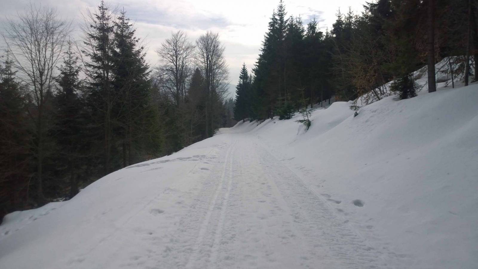 Zdjęcie 4