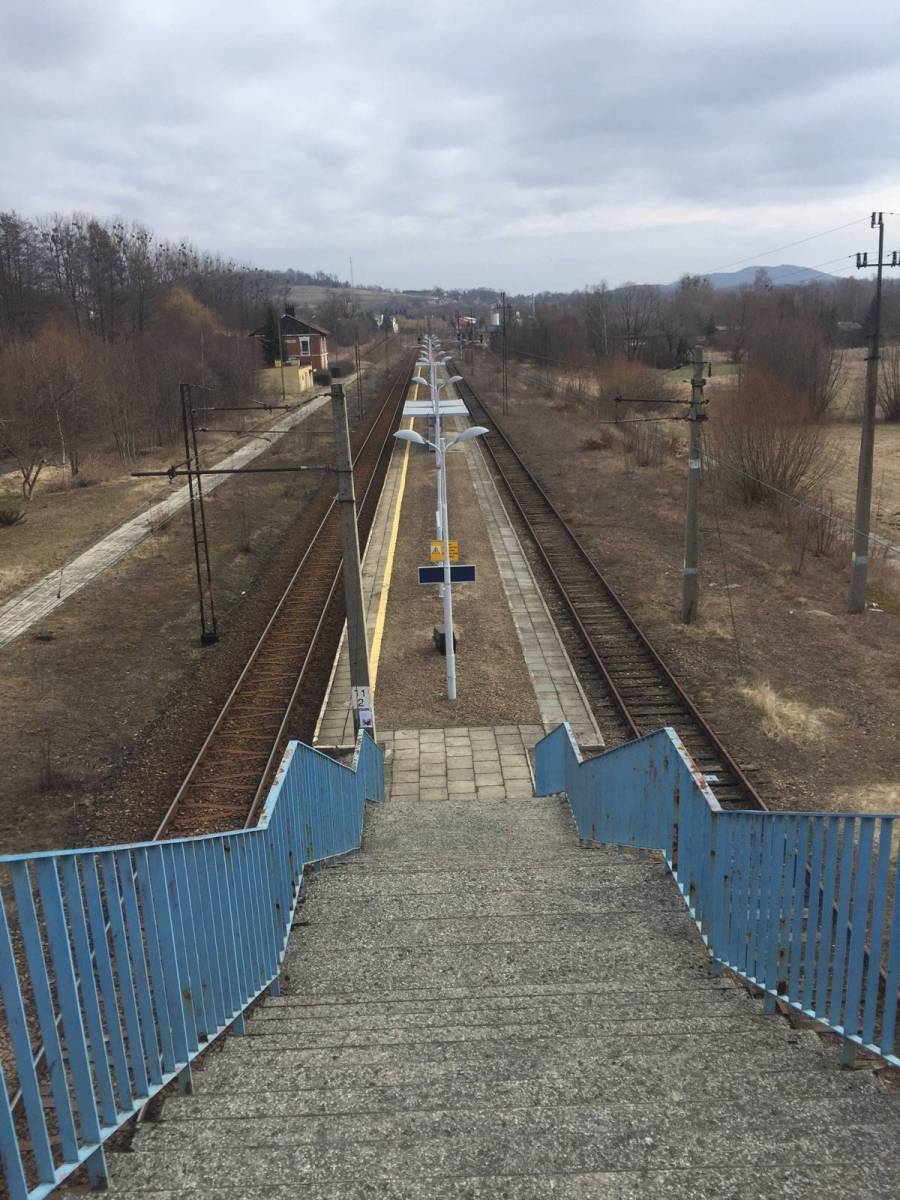 Zdjęcie 4