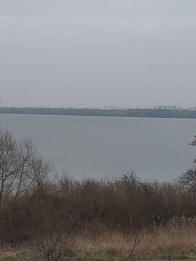 Zdjęcie 5
