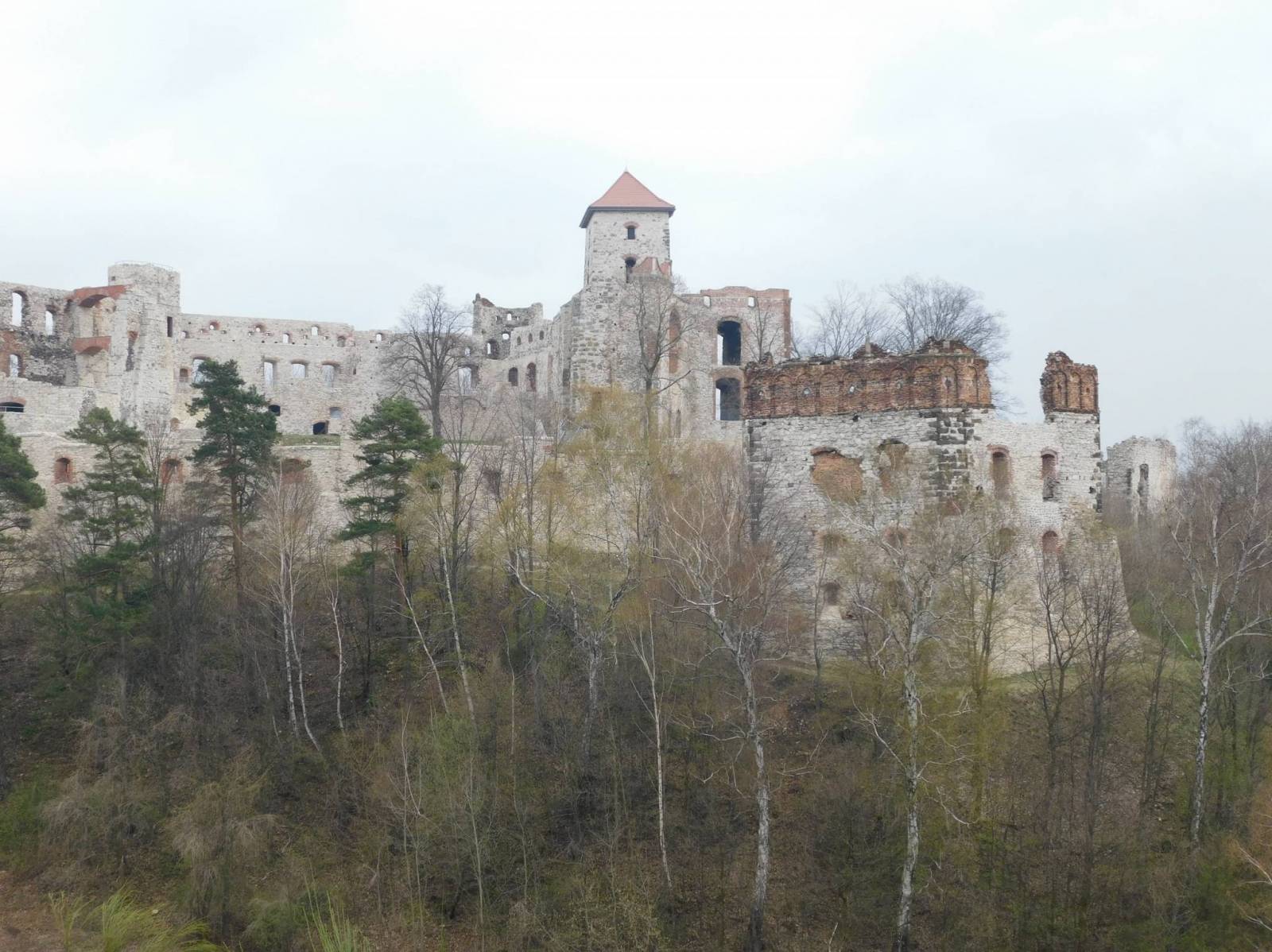 Zdjęcie 6