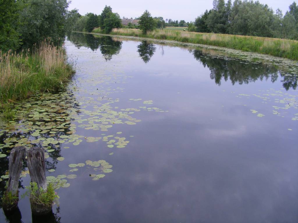 Zdjęcie 4