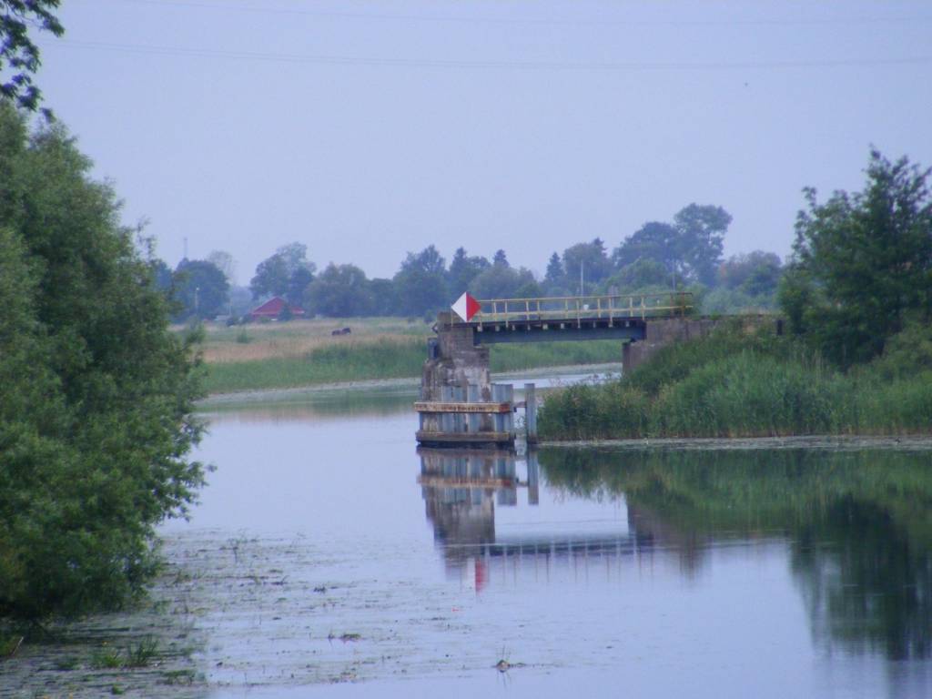 Zdjęcie 6