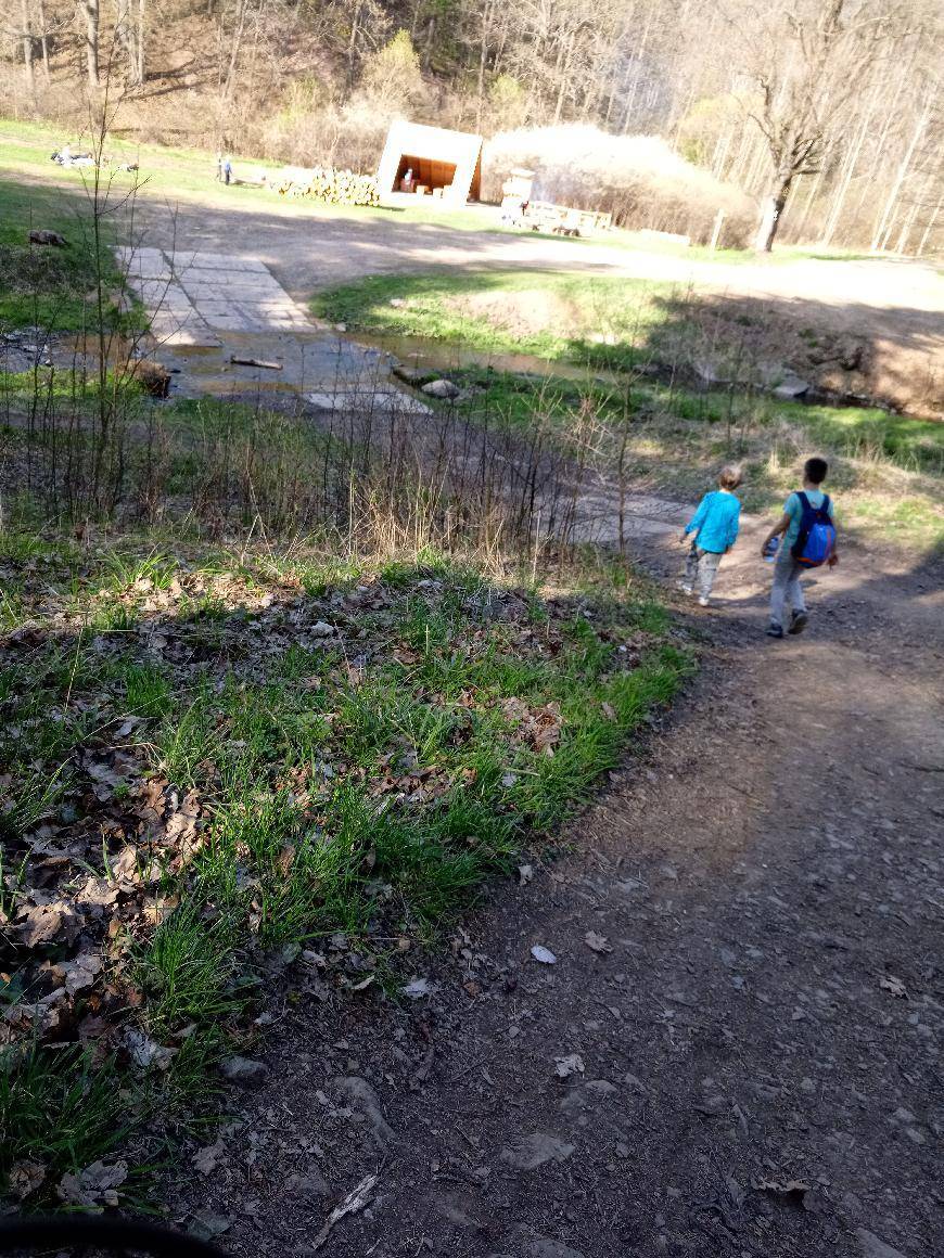 Zdjęcie 6