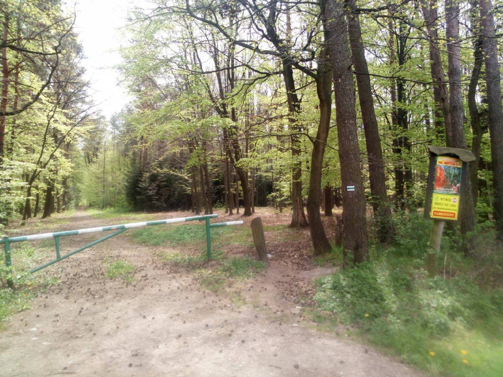 Zdjęcie 6