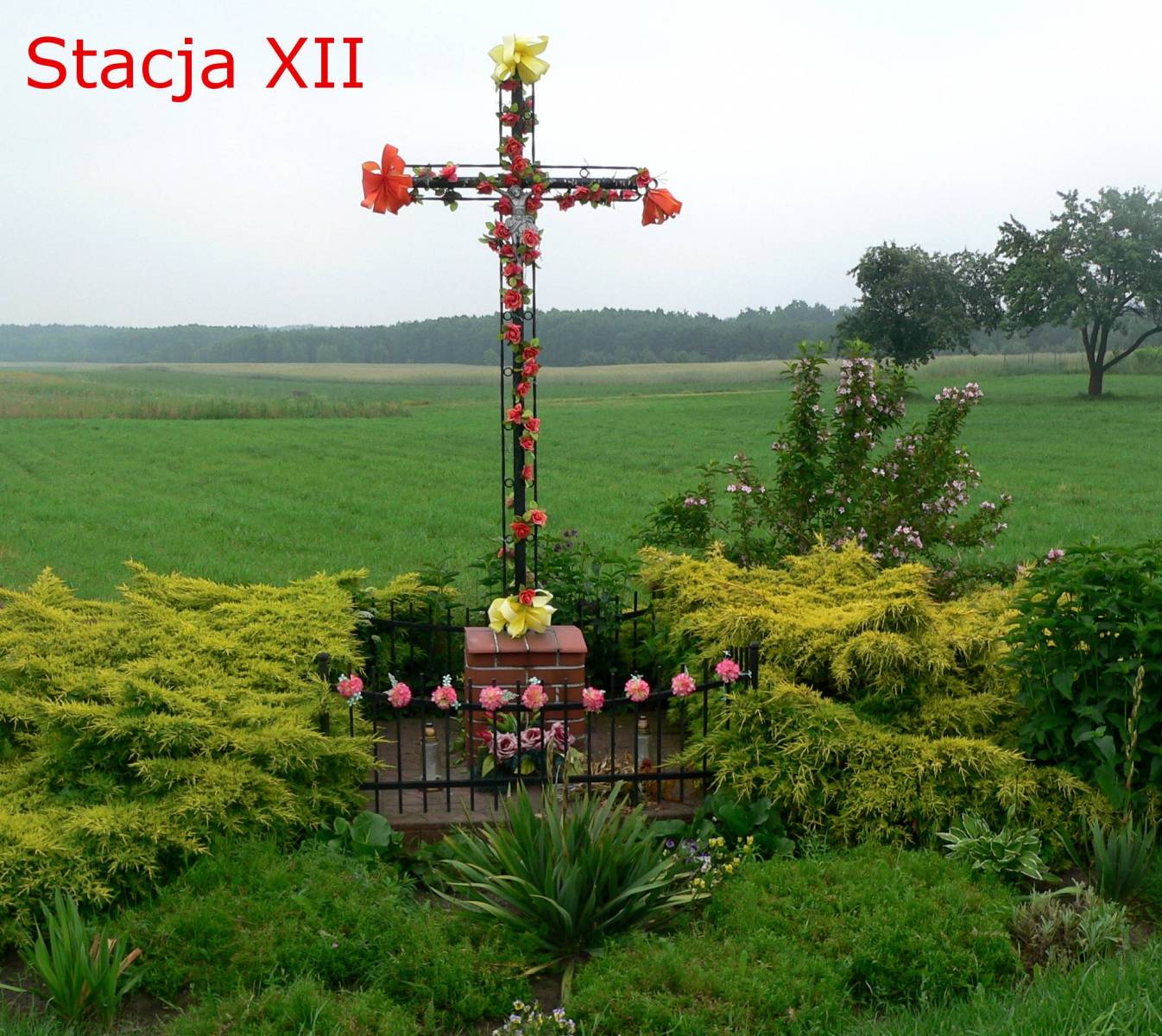Zdjęcie 5