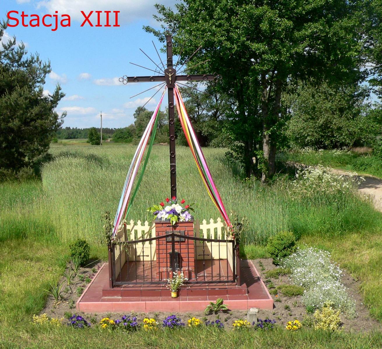Zdjęcie 6