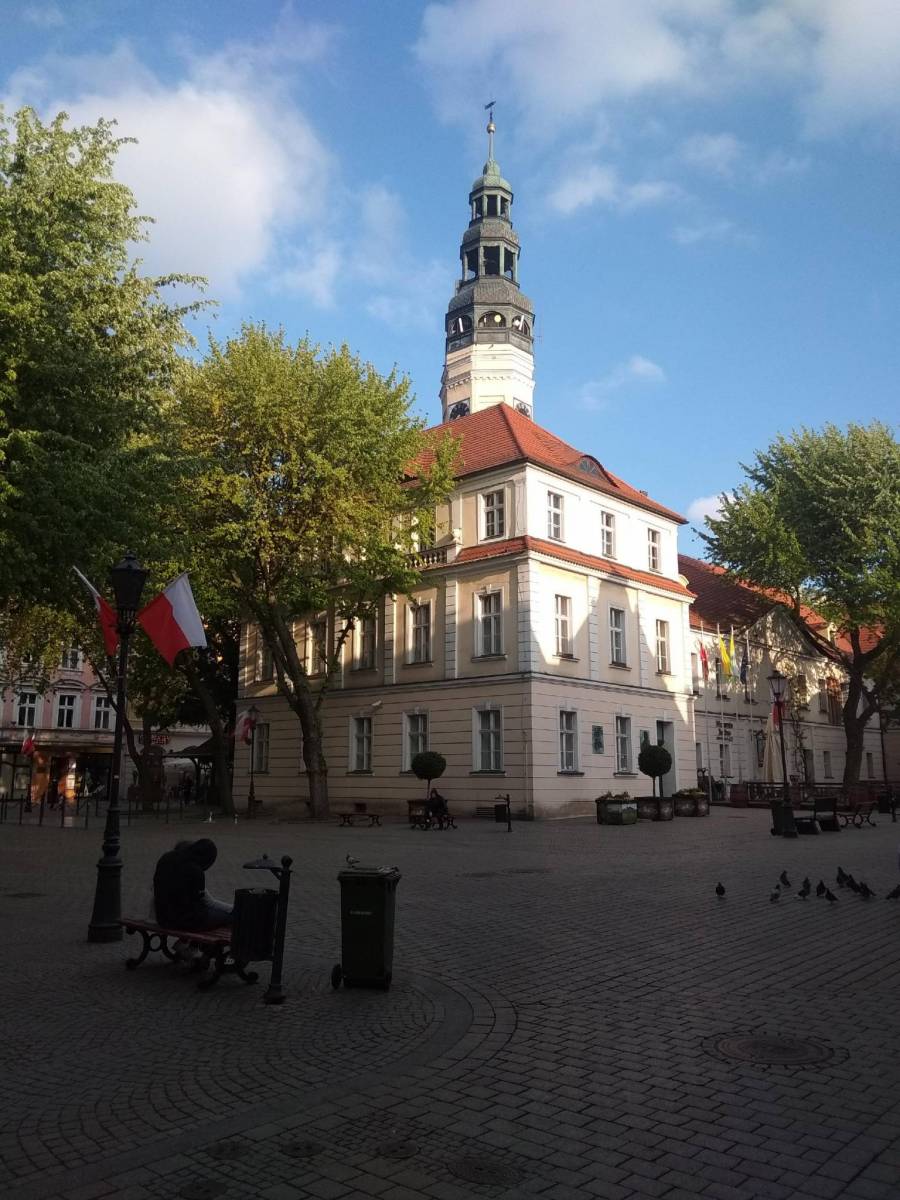 Zdjęcie 6