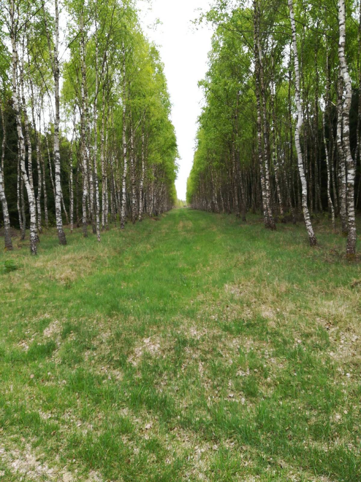 Zdjęcie 5