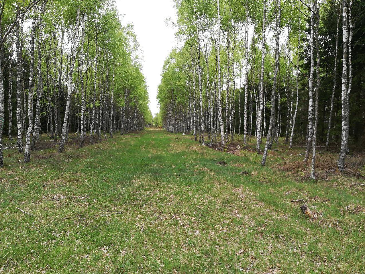 Zdjęcie 6