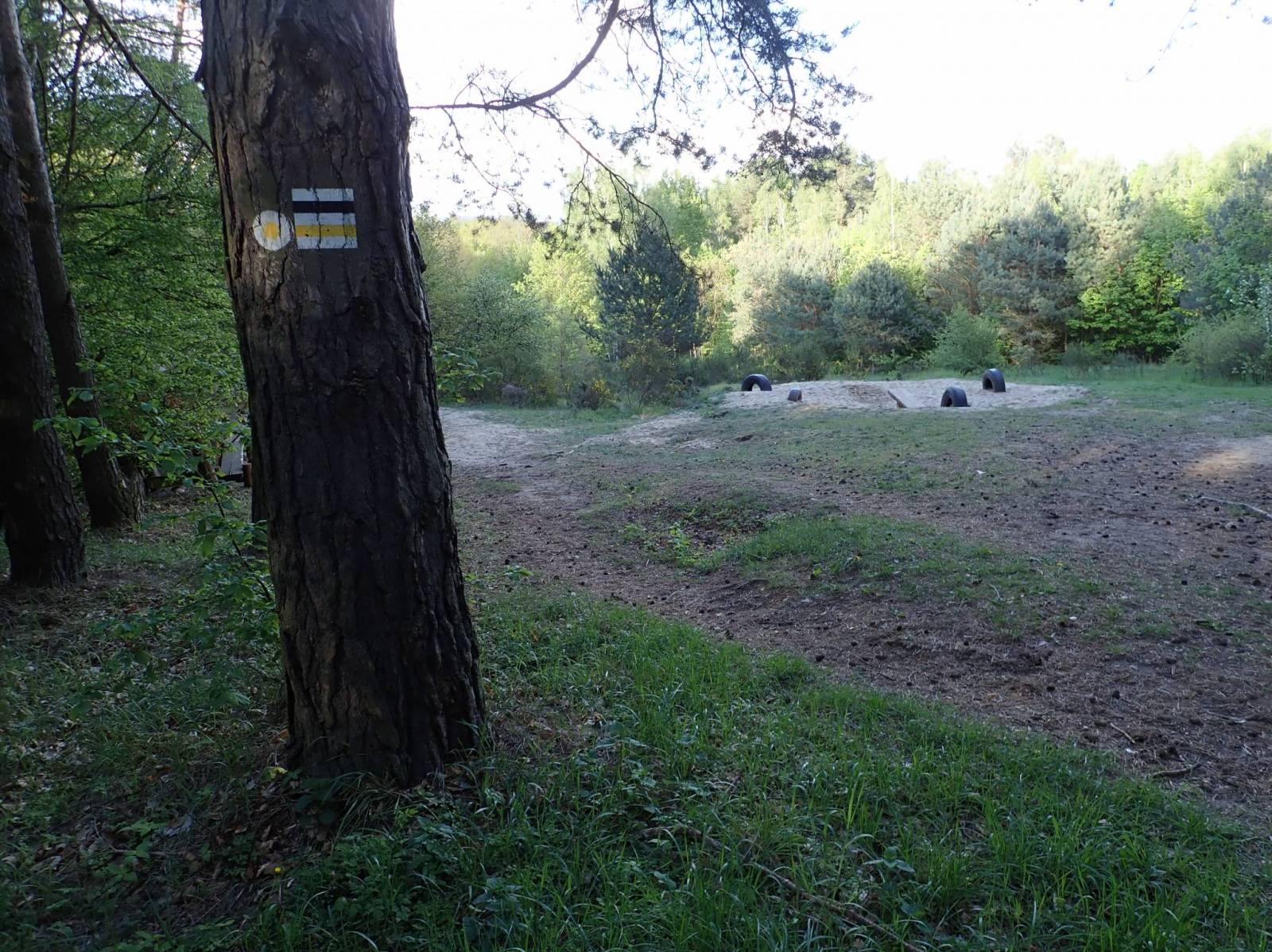 Zdjęcie 2
