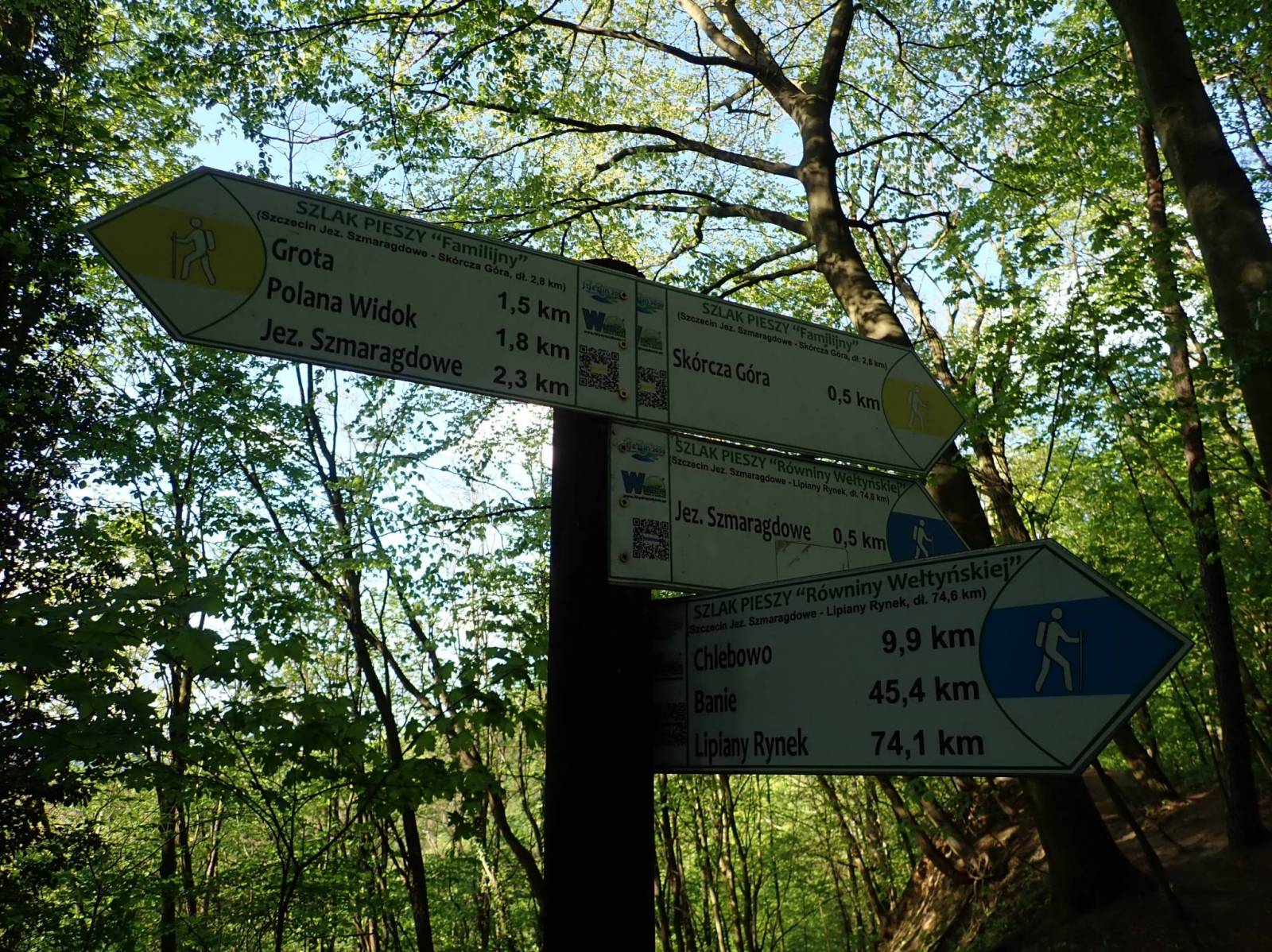 Zdjęcie 6