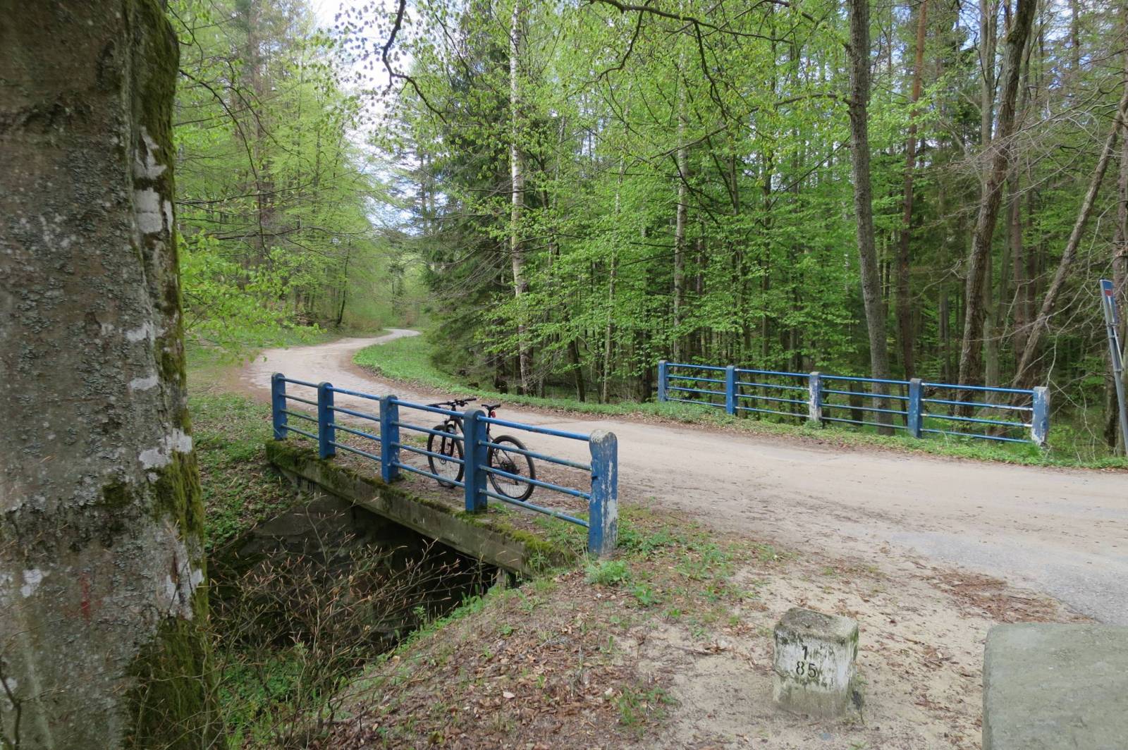 Zdjęcie 5