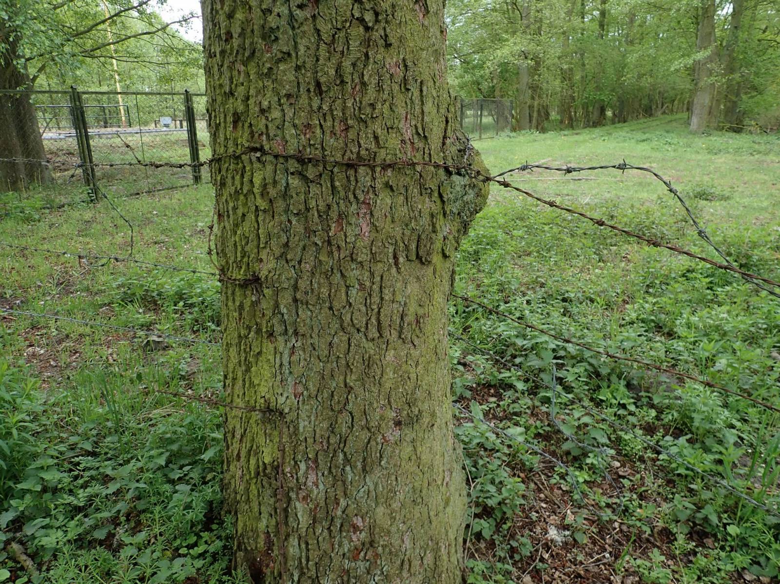 Zdjęcie 6