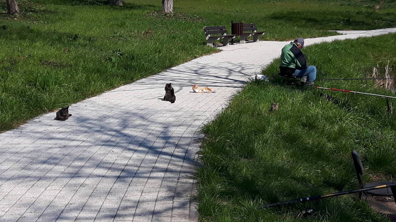 Zdjęcie 4