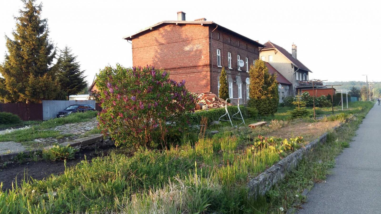 Zdjęcie 3
