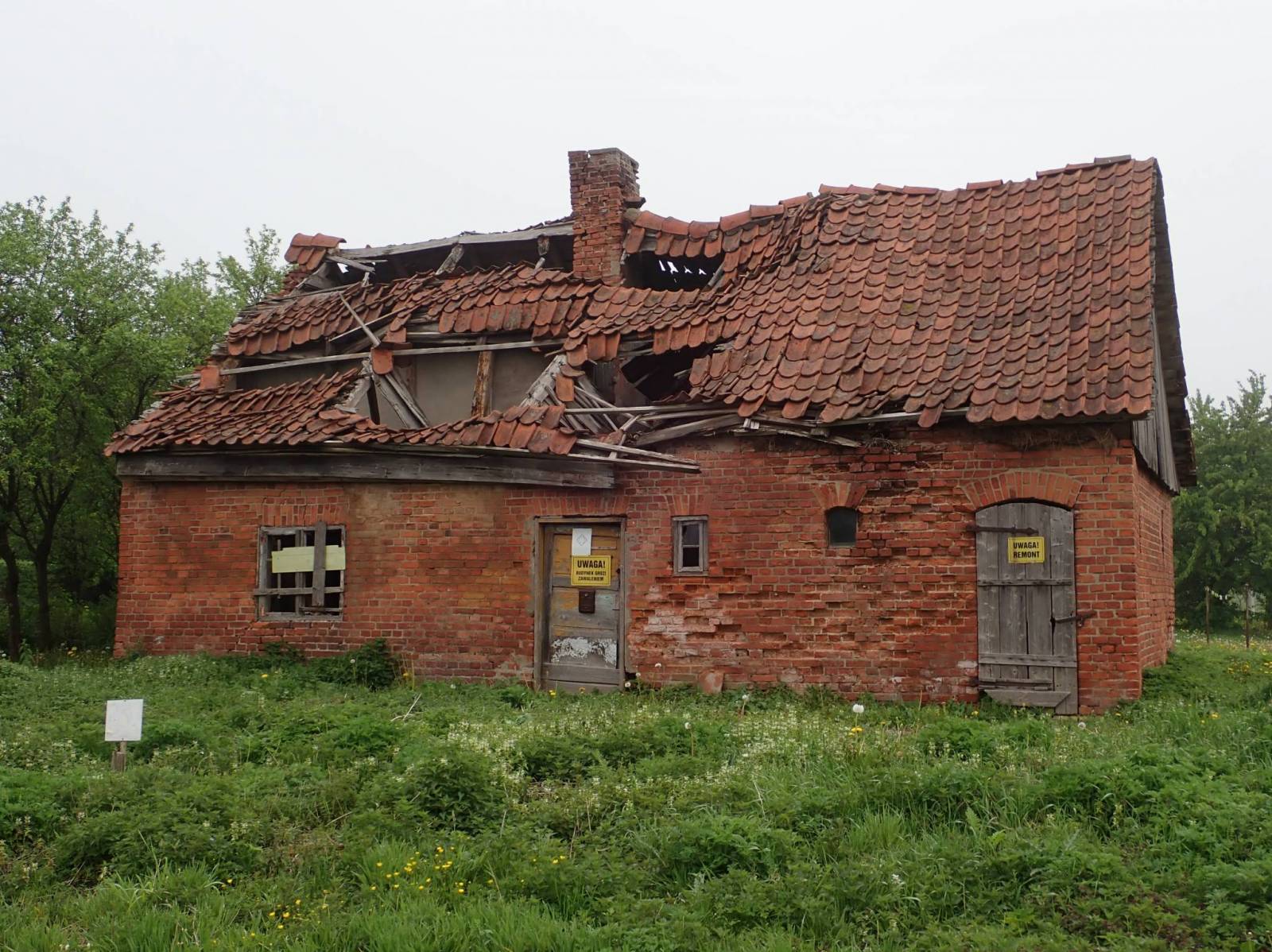 Zdjęcie 5
