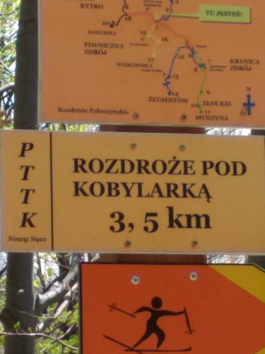 Zdjęcie 4