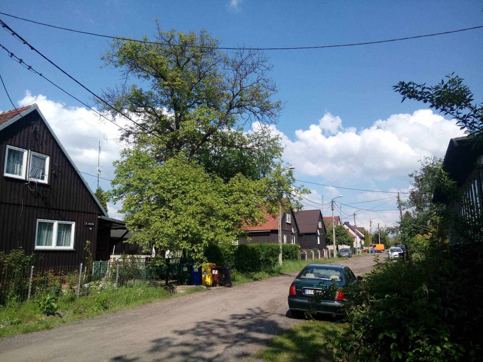 Zdjęcie 3