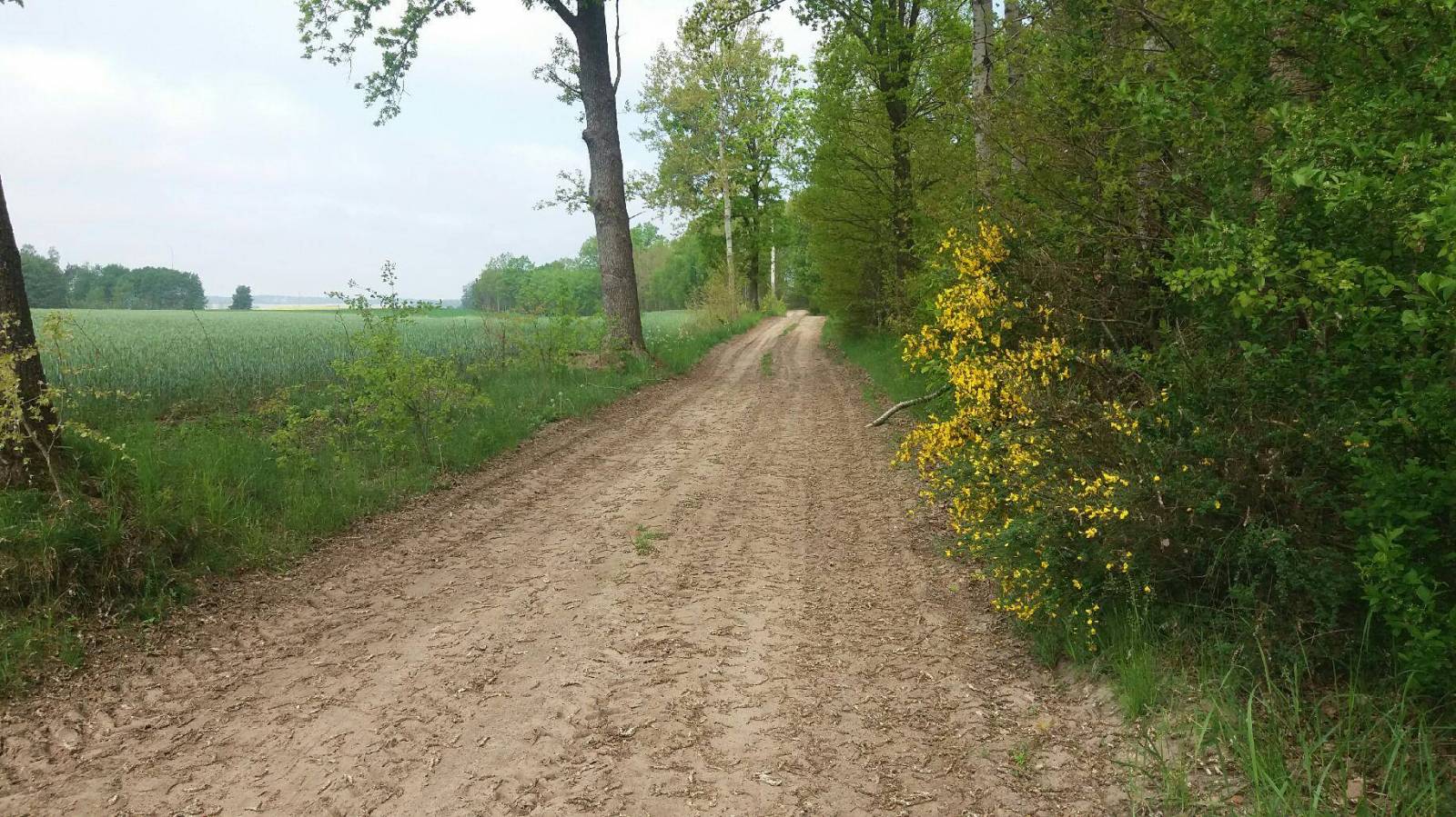 Zdjęcie 3
