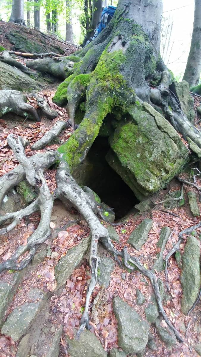 Zdjęcie 4
