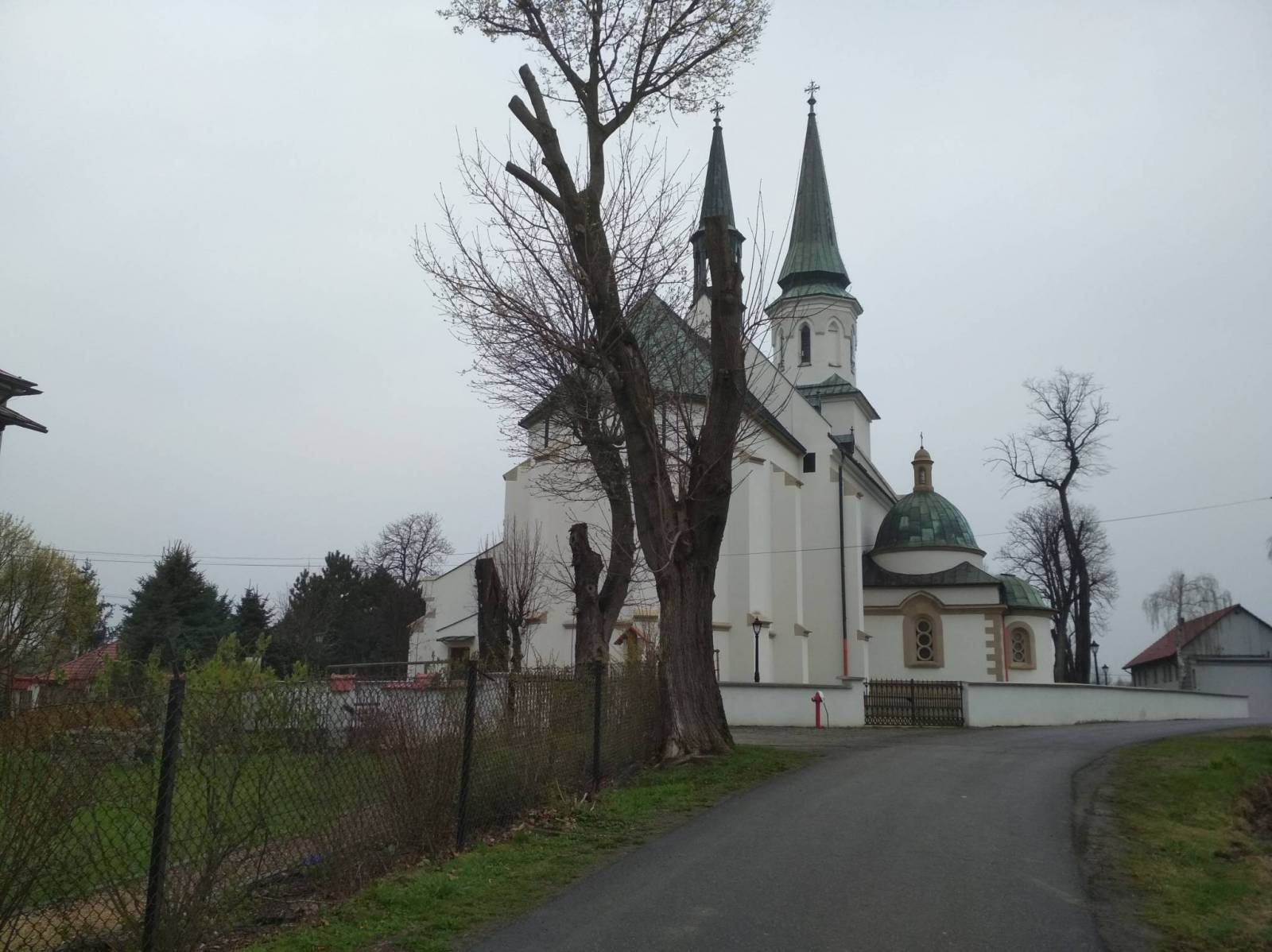 Zdjęcie 6