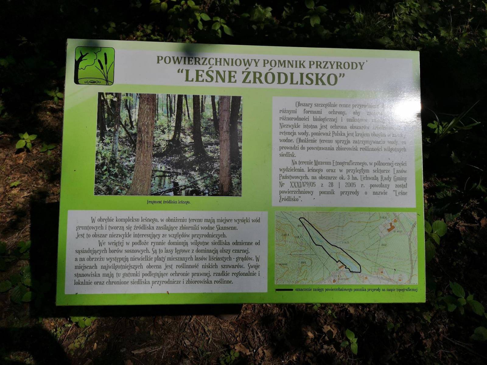 Zdjęcie 5