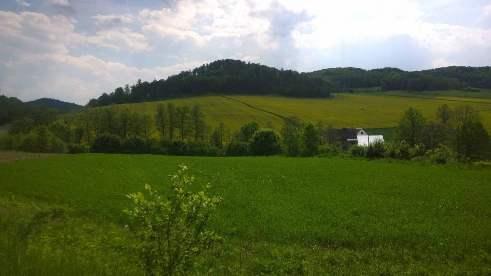 Zdjęcie 5
