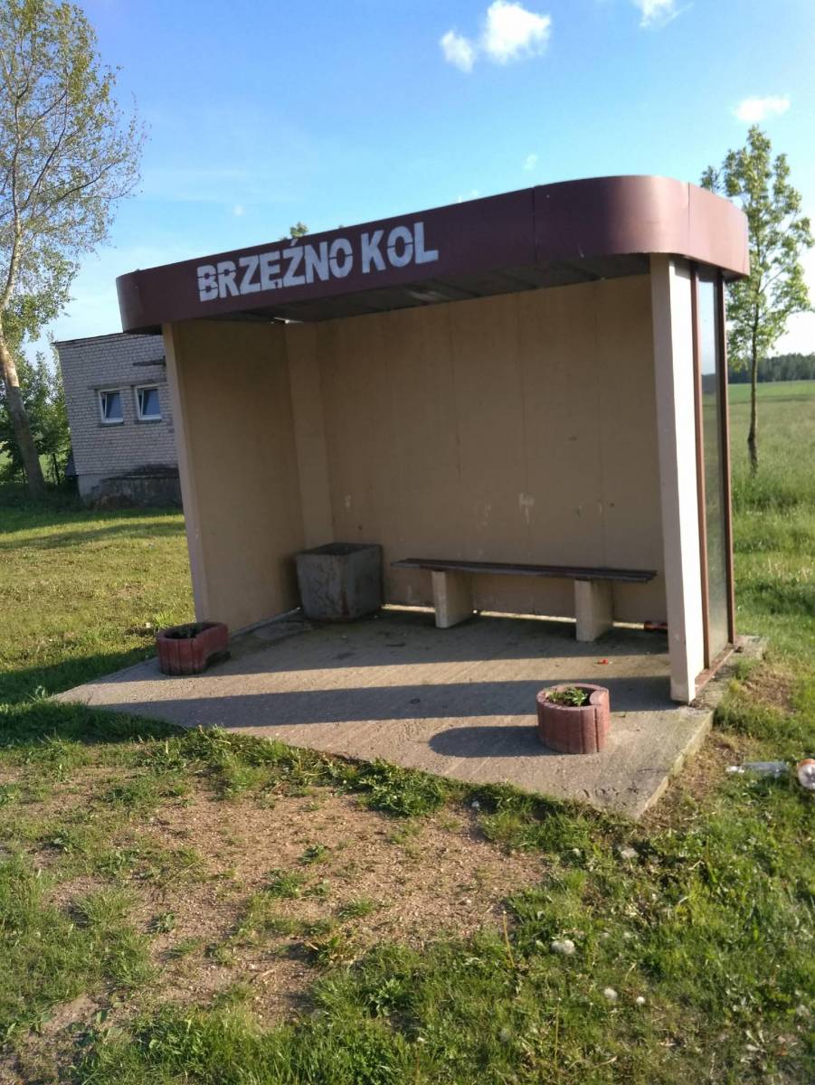 Zdjęcie 6