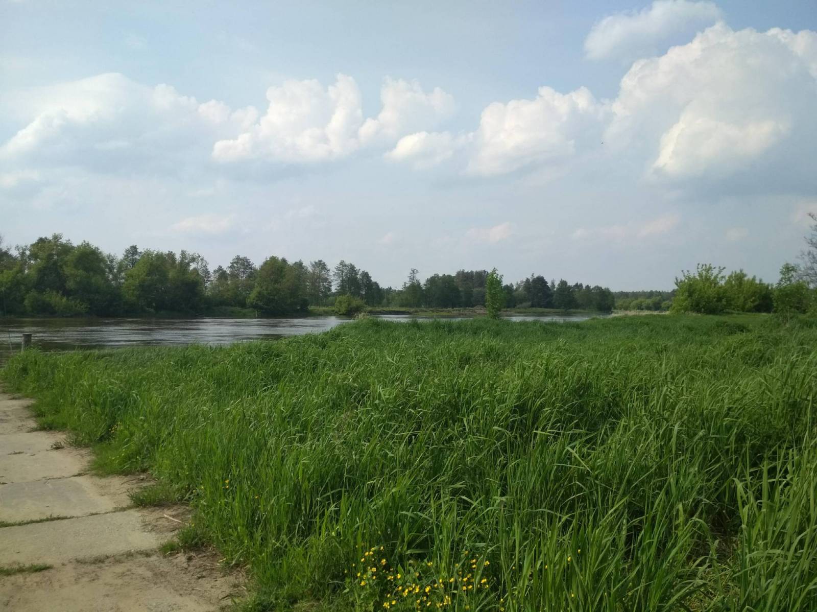 Zdjęcie 3