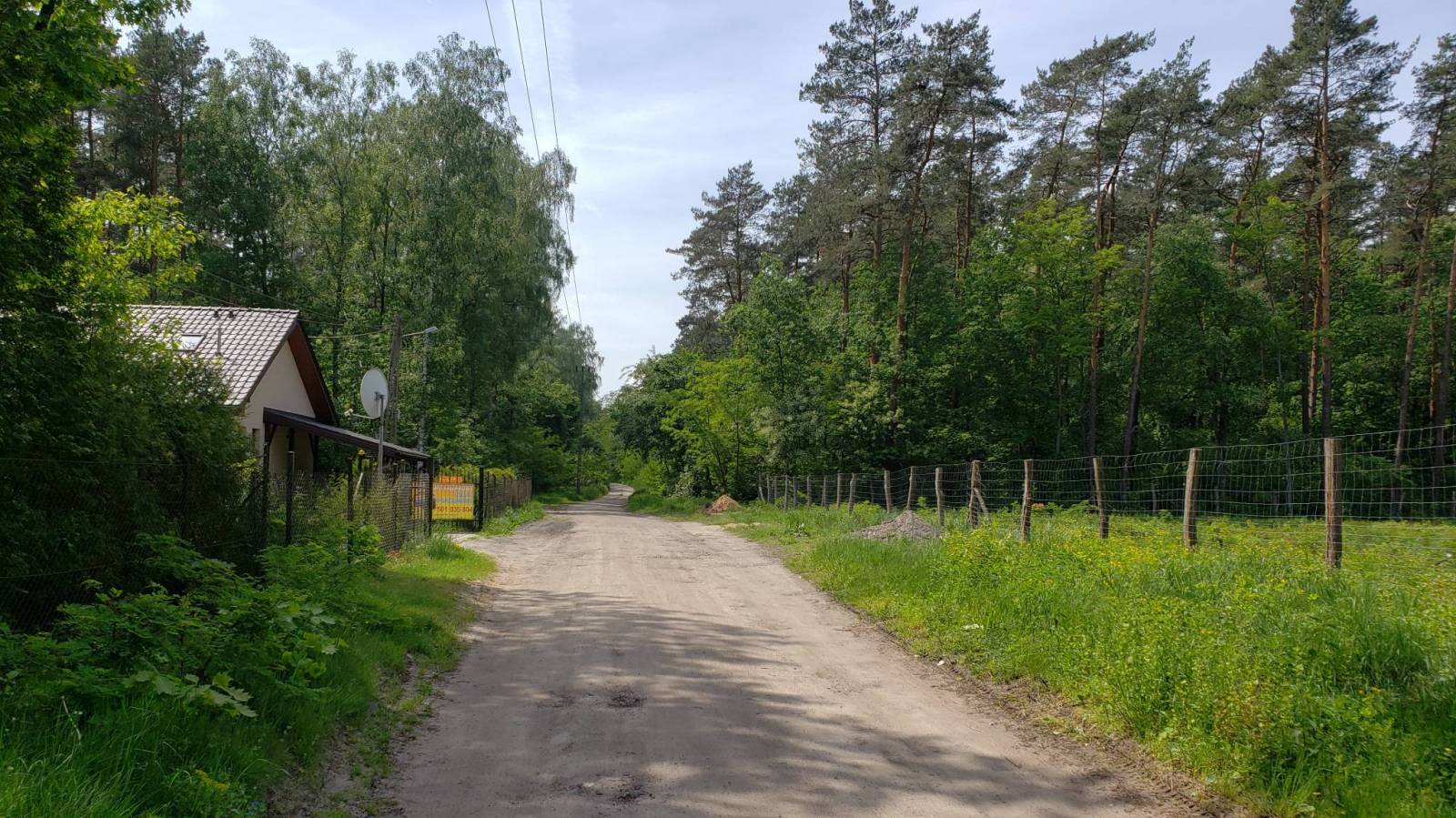 Zdjęcie 4
