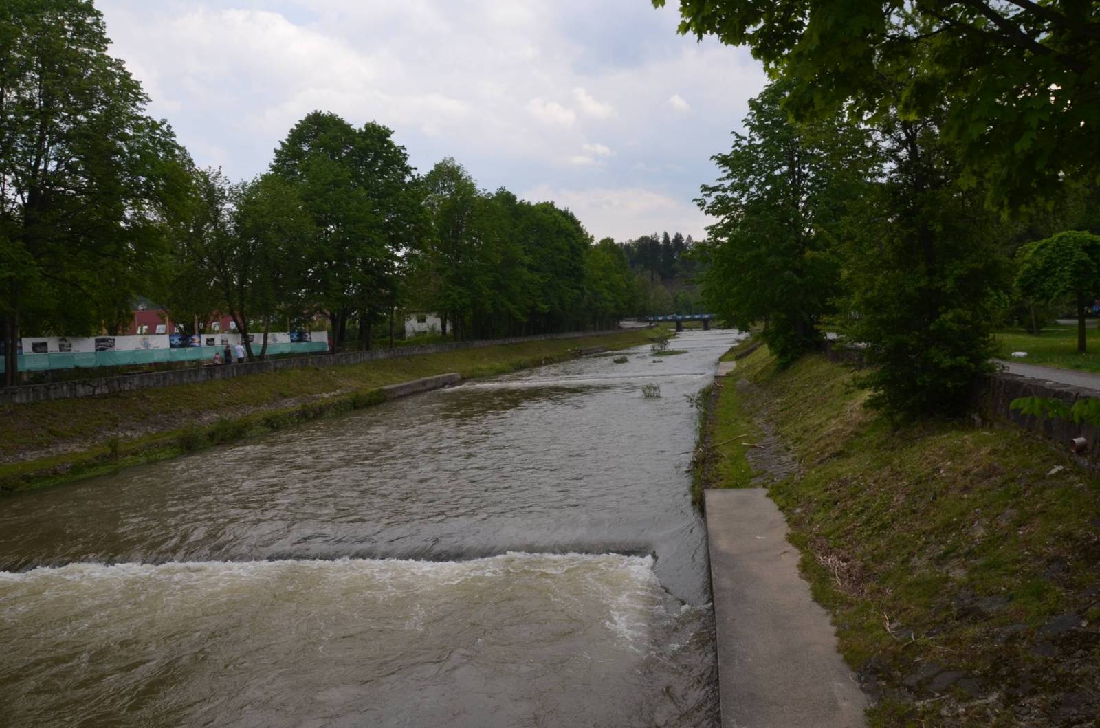 Zdjęcie 5