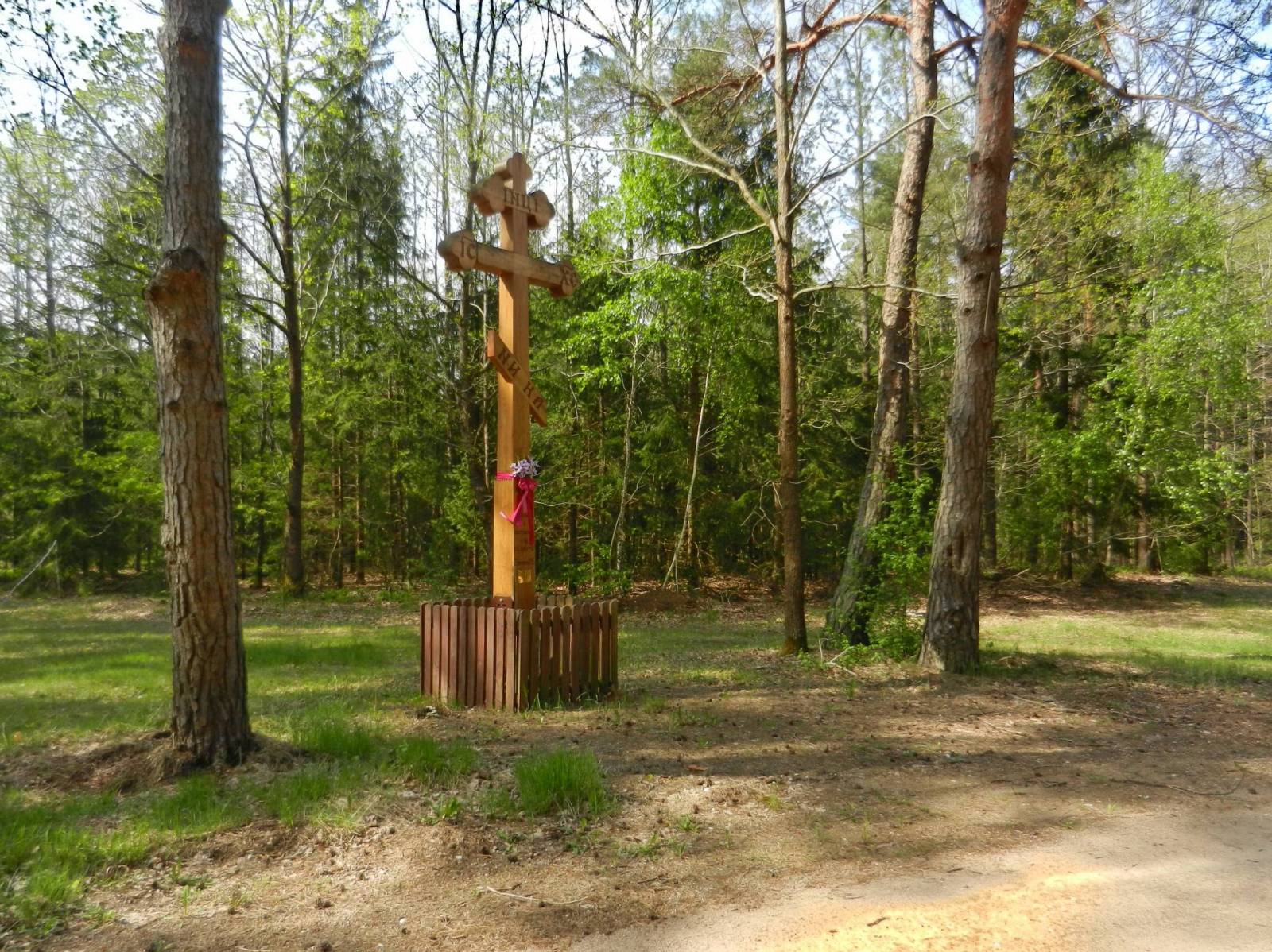 Zdjęcie 5