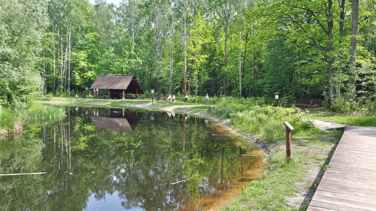 Zdjęcie 6