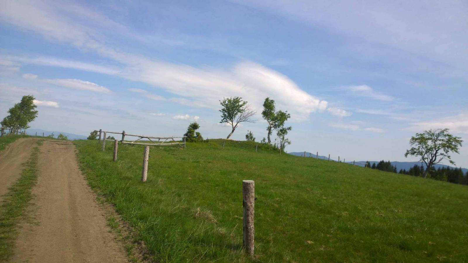 Zdjęcie 2